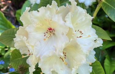 The Annexe at Fishponds - Photo 22