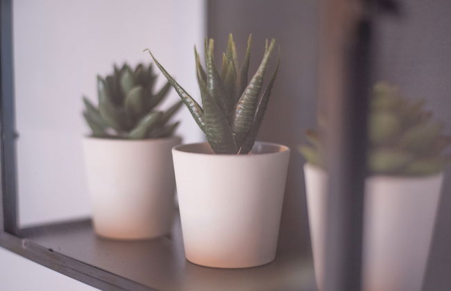 tuGuest Alhambra Apartments II - Foto 28