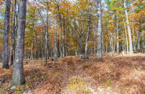 Log Cabin w Loft, Hot Tub, Deck, Fire Pit, & WiFi - Photo 20