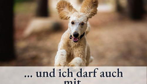 Glücks-Quartier "Waldhufe 1" - Foto 3