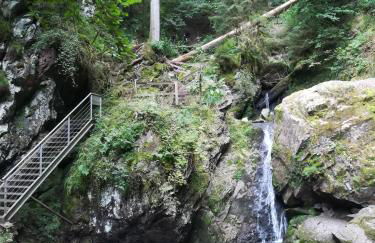 Ferienwohnung Hasenfratz - Foto 10