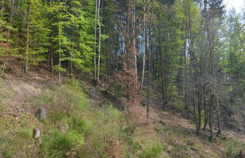 Lovely Group House near Winterberg with Private Sauna, Garden, & Terrace - Photo 78