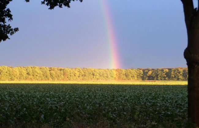 Holiday Home Mantinge Near Nature Reserve - Foto 37