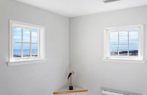 CAC-23B - Zebrafish - Foto 25