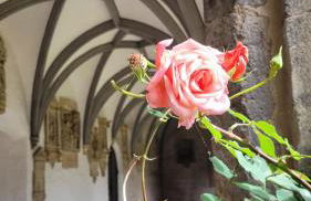 Ferienhaus Am Dombogen - BARRIEREFREI - 2 Schlafzimmer ab 3 Personen - mindestens 3 Nächte Aufenthalt - Foto 21