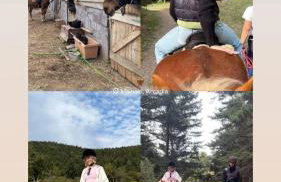 The Farmhouse - Photo 44