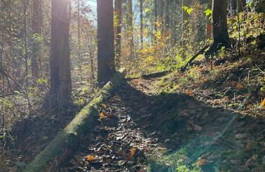 Charmante Ferienwohnung in Mastershausen/Hunsrück - Foto 18