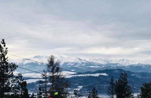 Willa Pienińska - Foto 42