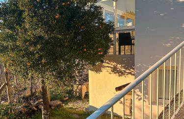 Alojamento Local Vale dos Vascos - Photo 12