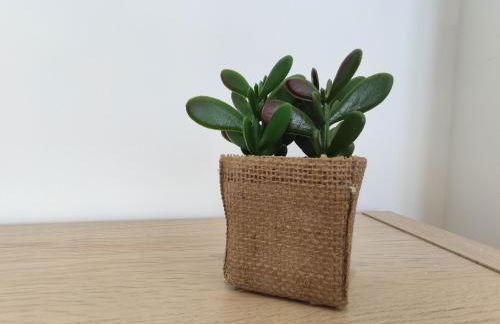 Résidence Jehan Froissart - Foto 47