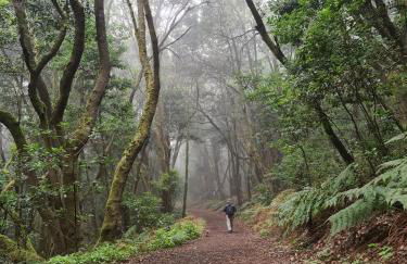 CASA RURAL ANTIGUA ESCUELA I - Foto 17
