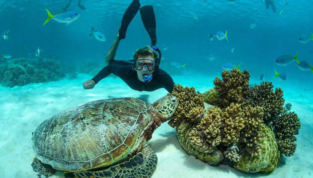Laissez-vous surprendre par les paysages marins