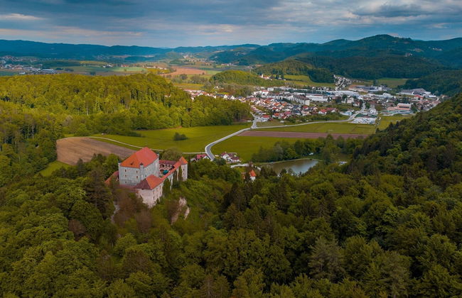 Vineyard Cottage Grajska Kasca - Foto 18