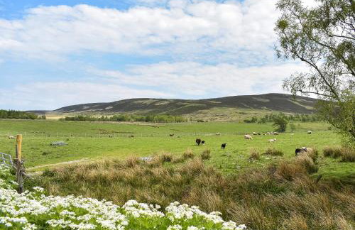 Mid Bellandy - Foto 23