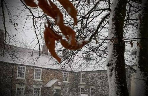 The Tree House - Foto 20