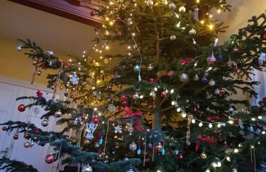 Gutshaus Schwarzenhof - Foto 76