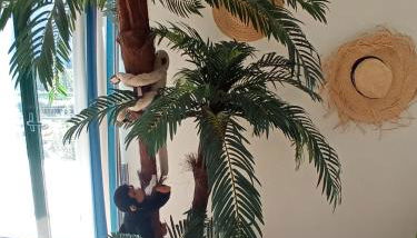 CASA do MONDEGO COIMBRA-17km - Foto 5