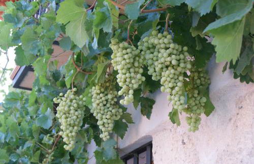 Dulce Encanto del Valle - Foto 23