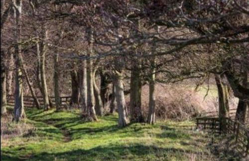 Borthwick Castle View - Foto 19