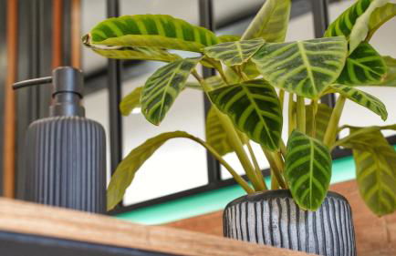 Gîte Oasis Ault - Ciné, Balnéo & Confort à la Mer - Foto 33