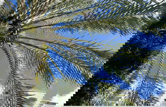 The Point Hotel & Suites - Foto 49