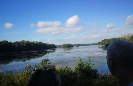 Pinienblick - Foto 22