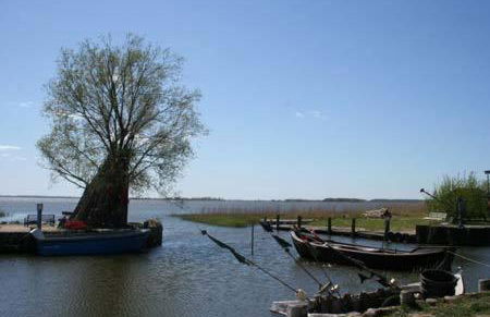 Ferienwohnungen Egon Schulz - Foto 1