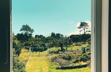 Quinta das Almas - Photo 17