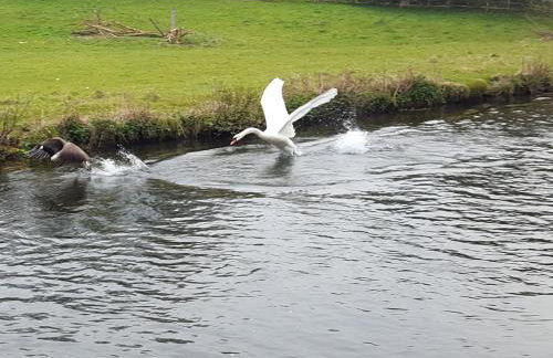 1 Bed in Bakewell oc-pk547 - Photo 20