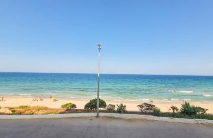 Jesica28 Mil Palmeras - Foto 7