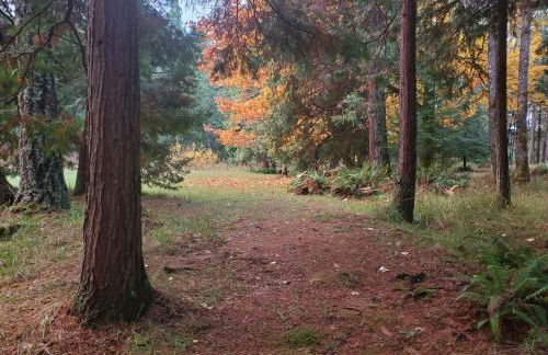 Blissful Solitude Cottage - Foto 19