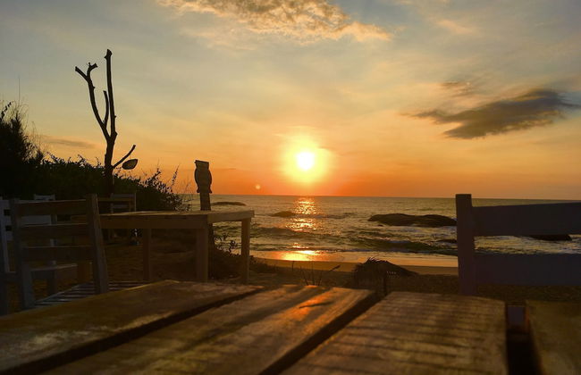 Yala Waves Beach Resort - Foto 28