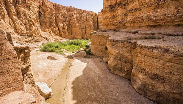 Tour delle location di Star Wars - Foto 2