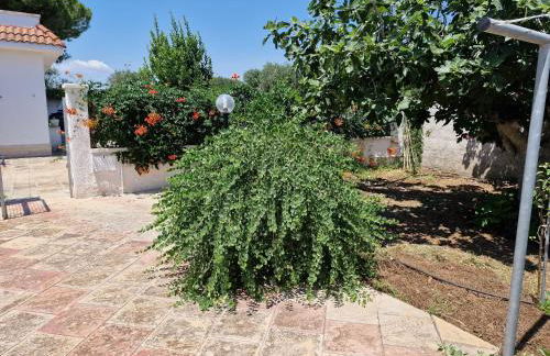 Villa Carmela a San Pietro in Bevagna (TA) - Foto 23