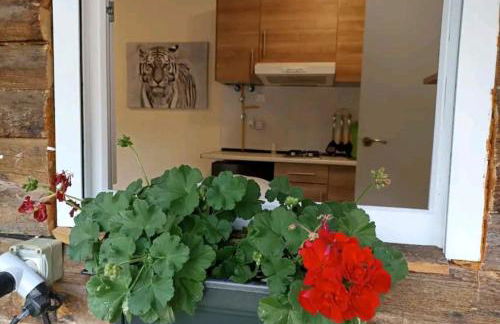 Cabaña del olivo - Photo 19