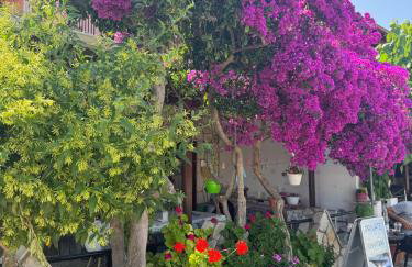 Flotillen Segeln in Griechenland inklusive Skipper und Tourguide 7 Nächte mit 7 Inseln im Ionischen Meer An- und Abreise SAMSTAG Kojencharter und Mitsegeln - Foto 37