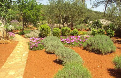 Apartments Basina - Foto 59