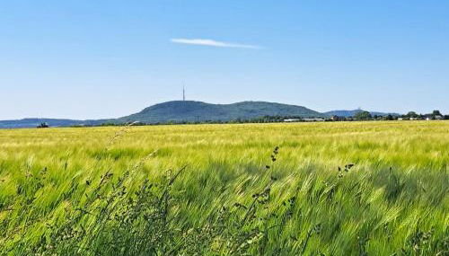 Ferienwohnung mit Bauernhofflair - Foto 3