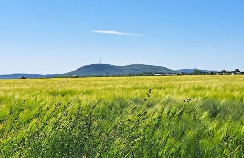 Ferienwohnung mit Bauernhofflair - Foto 3