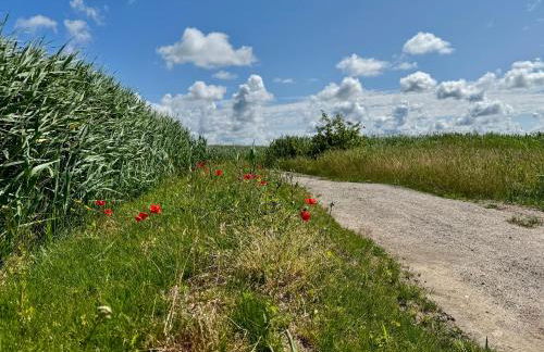 Ferienwohnung Krull - Foto 7