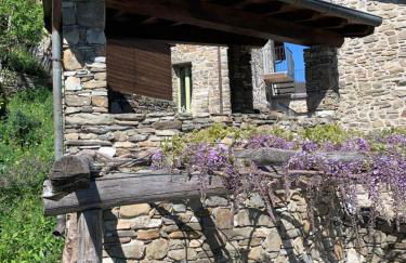 Magic Mola - Foto 10