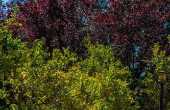 10 Acre Estate with Views Teahouse and Pickleball Court - Foto 67