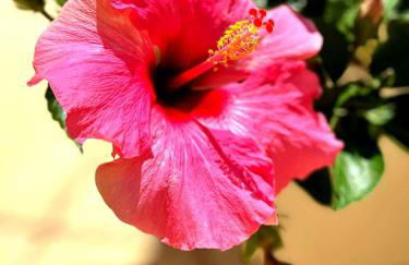 Mar azul Playa Misericordia 150 m by Key -wise - Photo 34