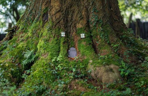 Finca La Peñiga - Foto 38