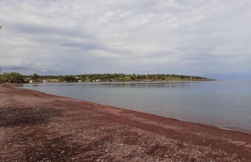 Armonia Houses - Photo 41