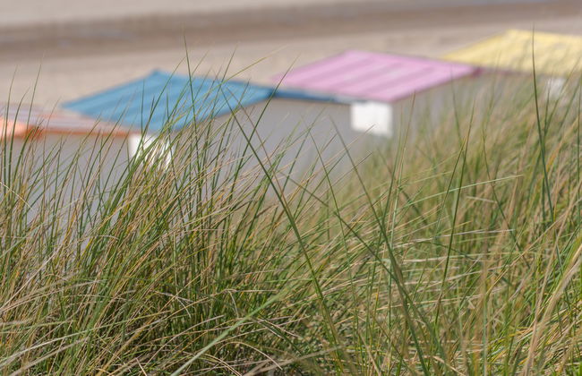 Duinenhof 18 with parking - Foto 15