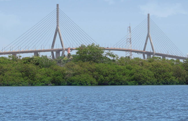 Tour di Tampico - Foto 7