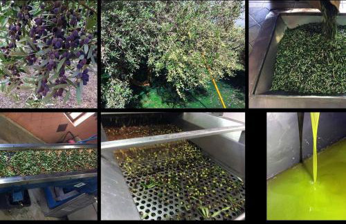 Agrilos Sea View House - Foto 52