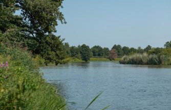 Uroczysko nad Pilicą Sauna & Balia - Foto 58