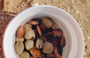 Izzi Mobile Home - Terra Park SpiritoS - Photo 72